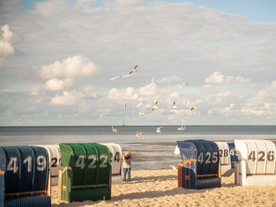 Holiday house Emi - Environment photo 25