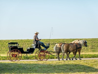 Holiday house Emi - Environment photo 28