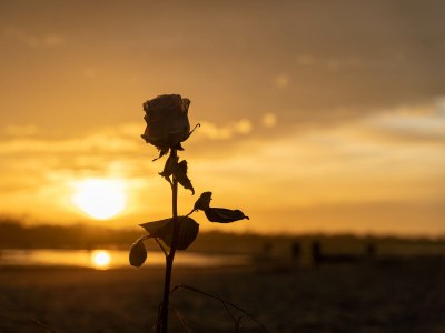 Holiday house Emi - Environment photo 34