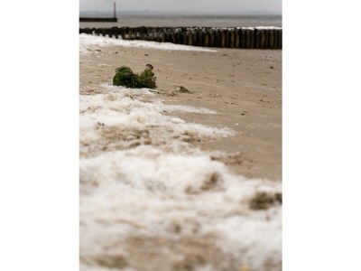 Holiday house Emi - Environment photo 36