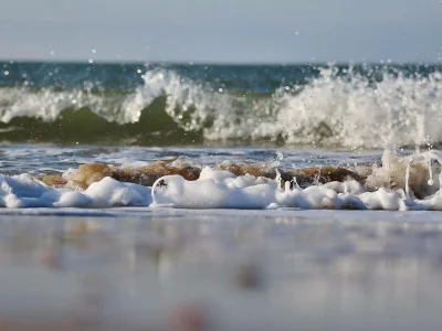 Apartment Witsand Sea View - Environment photo 33