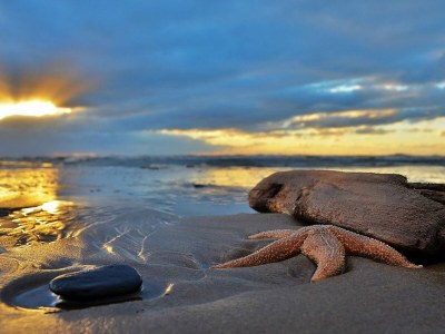 Apartment Witsand Sea View - Environment photo 37