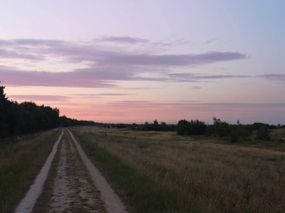 Holiday house 10 Personen Ferienhaus in Væggerløse-By Traum - Outdoor photo 11