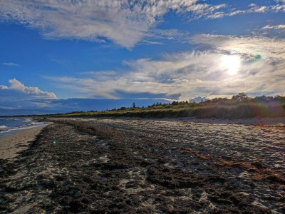 Holiday house 10 Personen Ferienhaus in Væggerløse-By Traum - Outdoor photo 14