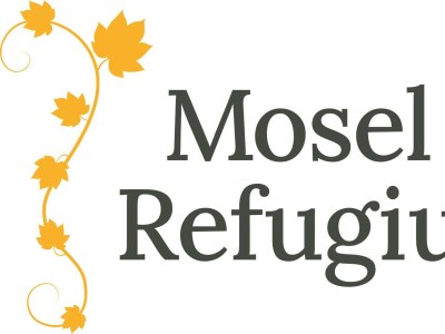 Apartment Mosel-Refugium Nr. 7 - Outdoor photo 36