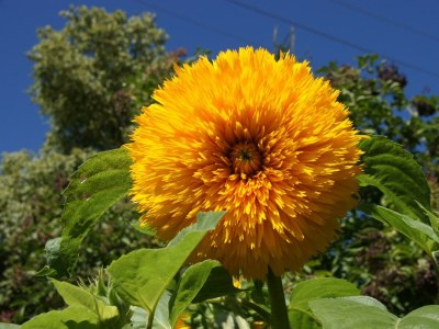 Apartment Appartement Lavendel - Outdoor photo 39