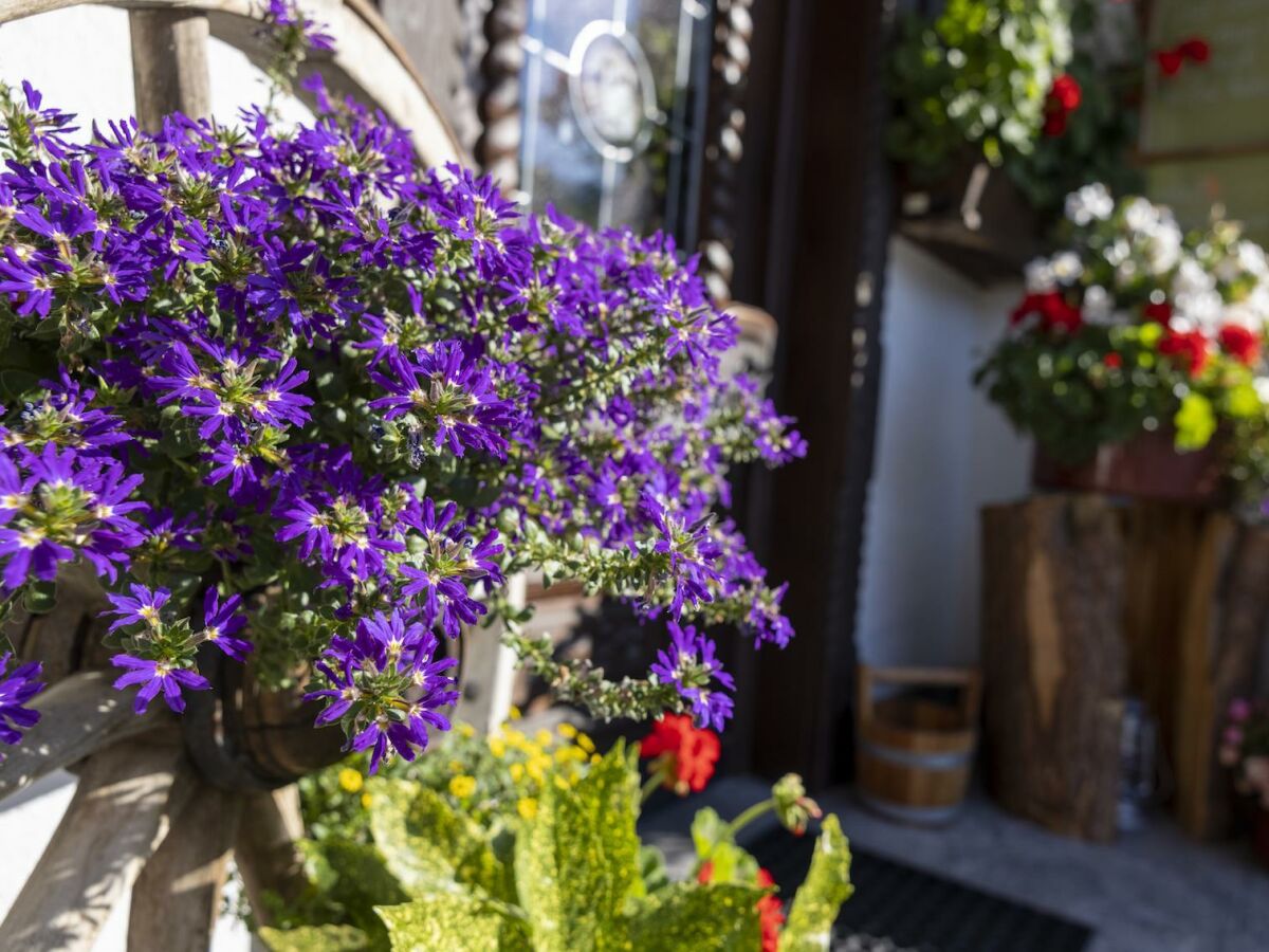 Apartment Appartement Edelweiss - Outdoor photo 4