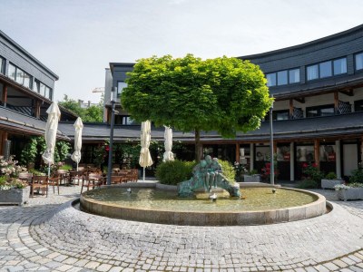 Apartment Koia Premium Apartment in Söll - Apartment