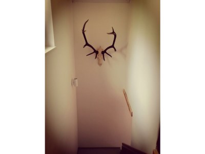 Apartment Apartment Almblick - Features photo 28