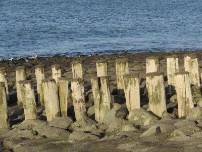 Holiday house Haus in Westkapelle nahe Strand für 4 Von Belvilla - Environment photo 30