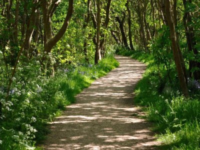 Holiday house Haus in Westkapelle nahe Strand für 4 Von Belvilla - Environment photo 33
