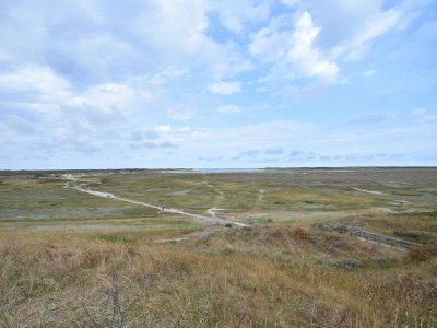 Farmhouse Apartment in De Cocksdorp near Beach - Environment photo 21