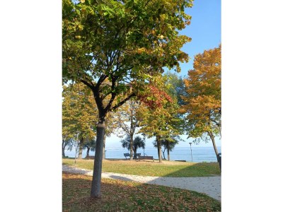 Apartment “Sirmione”, in Desenzano del Garda - Environment photo 14