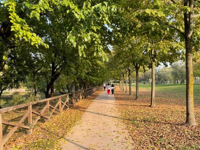 Apartment “Sirmione”, in Desenzano del Garda - Environment photo 16