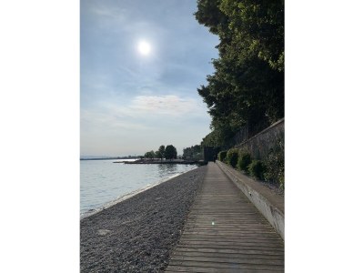 Apartment “Manerba”, in Desenzano del Garda - Environment photo 16