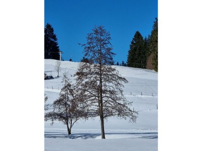 Apartment Ferienwohnung Alexandra - Outdoor photo 8