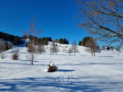 Apartment Ferienwohnung Alexandra - Outdoor photo 9
