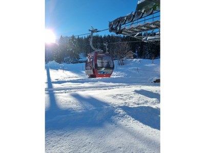 Apartment Ferienwohnung Alexandra - Outdoor photo 14