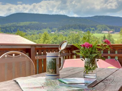 Holiday apartment 14 with panoramic balcony and lake view - Outdoor photo 8