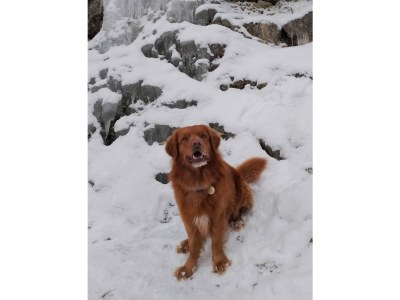 Holiday apartment 14 with panoramic balcony and lake view - Outdoor photo 17