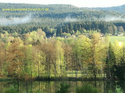 Holiday apartment 14 with panoramic balcony and lake view - Environment photo 35