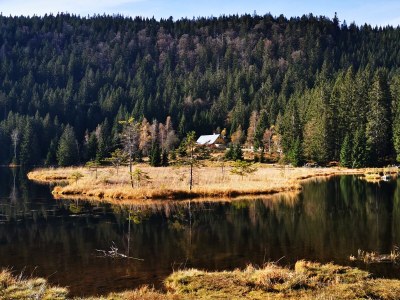 Holiday apartment 14 with panoramic balcony and lake view - Environment photo 39