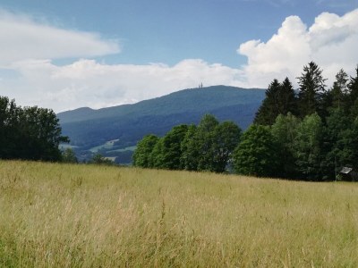 Holiday apartment 14 with panoramic balcony and lake view - Environment photo 40