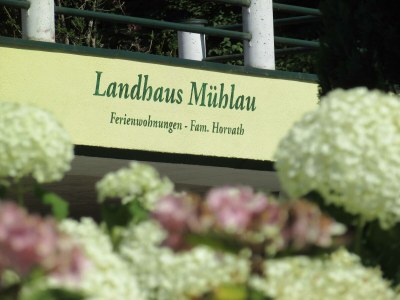 Apartment Clara -  1 Schlafzimmer + Galerieschlafplatz - Outdoor photo 14