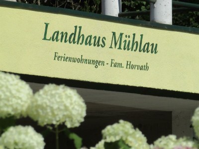 Apartment Clara -  1 Schlafzimmer + Galerieschlafplatz - Outdoor photo 21