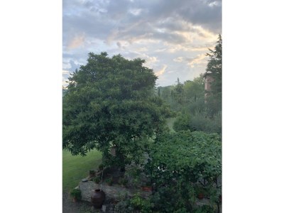 Holiday house Casa La Fonte - Olivastra - Outdoor photo 10