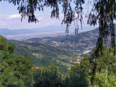 Chalet Chalet in Marliana near center - Environment photo 32