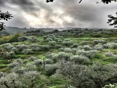 Chalet Chalet in Marliana near center - Environment photo 33