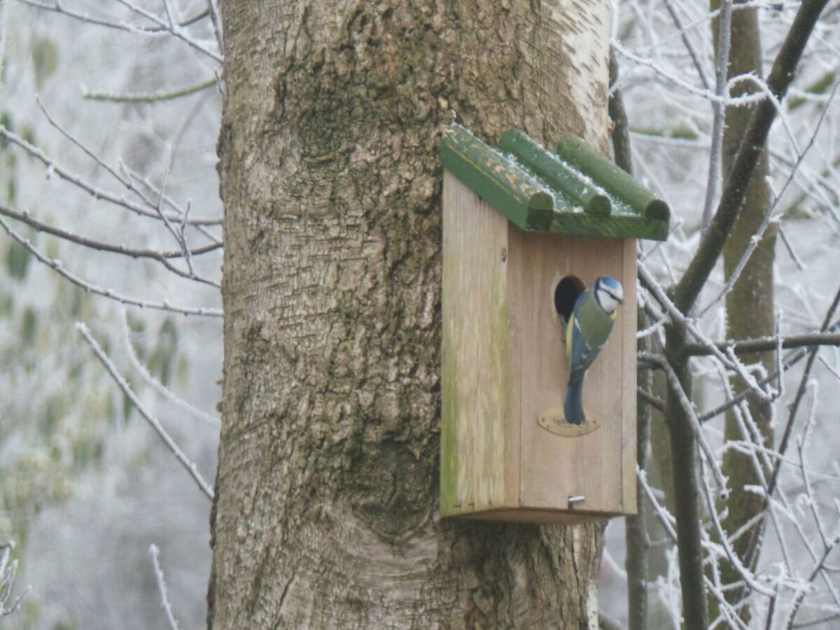 Holiday house Ferienhaus bei Sallandse Heuvelrug - Outdoor photo 2