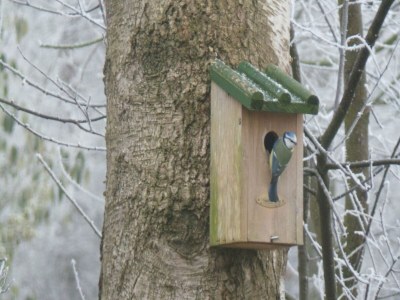 Holiday house Ferienhaus bei Sallandse Heuvelrug - Outdoor photo 2