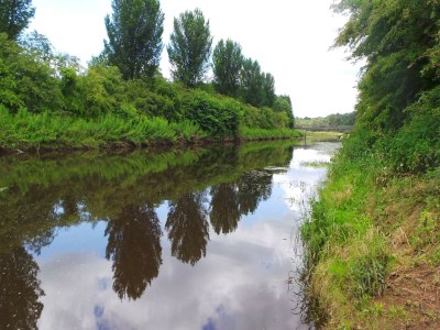 Holiday house Ferienhaus bei Sallandse Heuvelrug - Environment photo 34