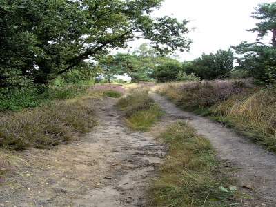 Holiday house Ferienhaus bei Sallandse Heuvelrug - Environment photo 35