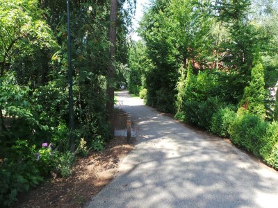 Holiday house Ferienhaus bei Sallandse Heuvelrug - Outdoor photo 40
