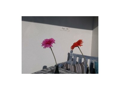 Apartment Appartement/Fewo, Dusche und Bad, WC, 3 Schlafräum - Features photo 36