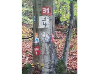 Apartment Ferienhaus, Dusche, WC, ruhig - Outdoor photo 11