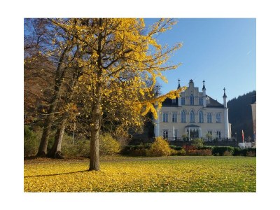 Apartment Ferienhaus, Dusche, WC, ruhig - Features photo 20