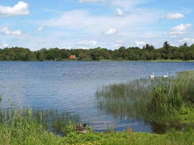 Holiday house 6 Personen Ferienhaus in Ansager-By Traum - Outdoor photo 28