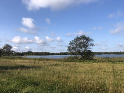 Holiday house 6 Personen Ferienhaus in Ansager-By Traum - Outdoor photo 29