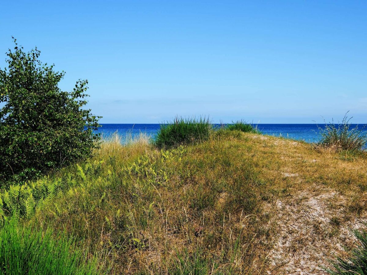 Holiday house 10 Personen Ferienhaus in Væggerløse-By Traum - Outdoor photo 3