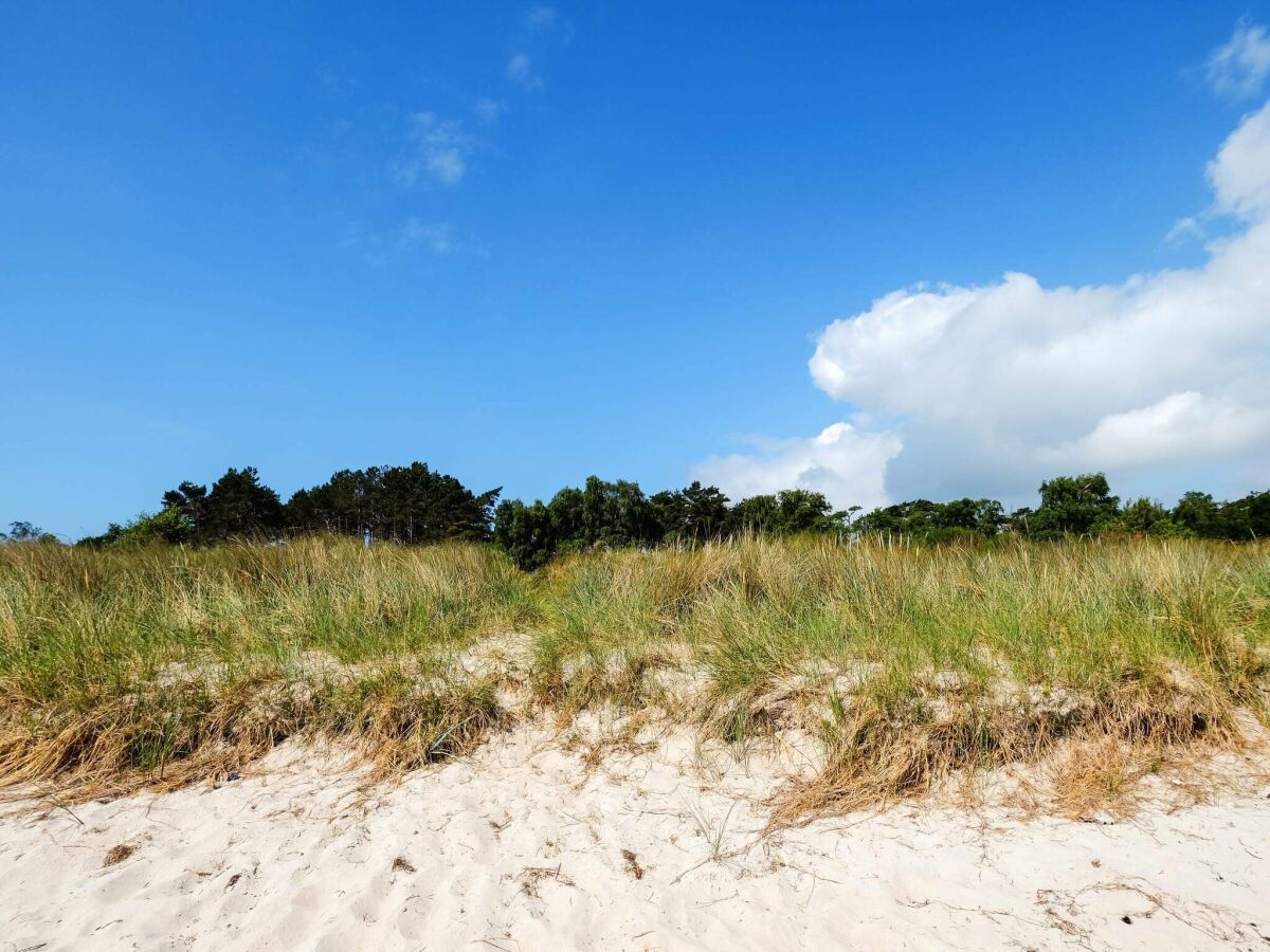 Holiday house 10 Personen Ferienhaus in Væggerløse-By Traum - Outdoor photo 4