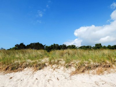 Holiday house 10 Personen Ferienhaus in Væggerløse-By Traum - Outdoor photo 4