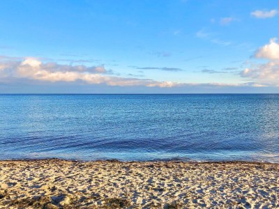 Holiday house 10 Personen Ferienhaus in Væggerløse-By Traum - Outdoor photo 35