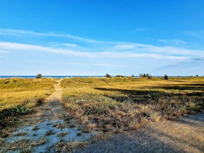 Holiday house 10 Personen Ferienhaus in Væggerløse-By Traum - Outdoor photo 36