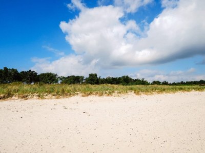 Holiday house 10 Personen Ferienhaus in Væggerløse-By Traum - Outdoor photo 41