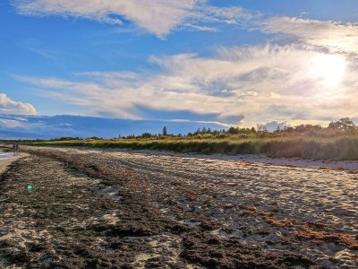 Holiday house 10 Personen Ferienhaus in Væggerløse-By Traum - Outdoor photo 43