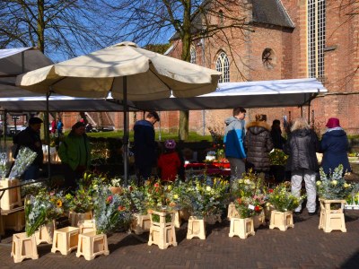 Holiday house Lumen Bergen - Environment photo 27